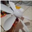 Foto enviada pelo cliente